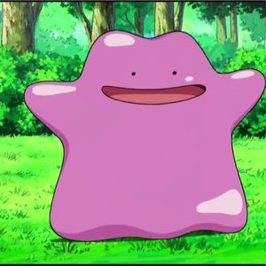 Meet your Posher, Danika